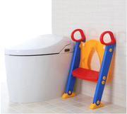 Folding Potty Training Seat With Ladder