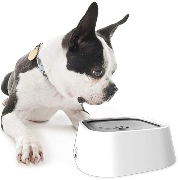 Spill Proof Pet Water Bowl