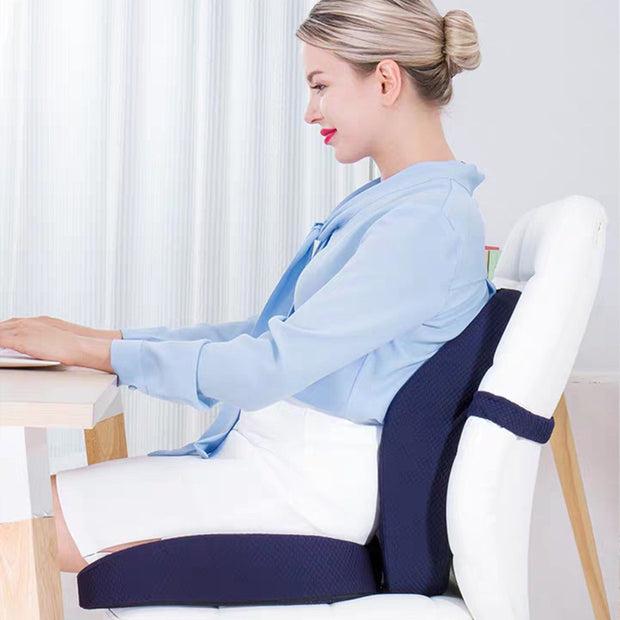 Back and Hip Support Cushion